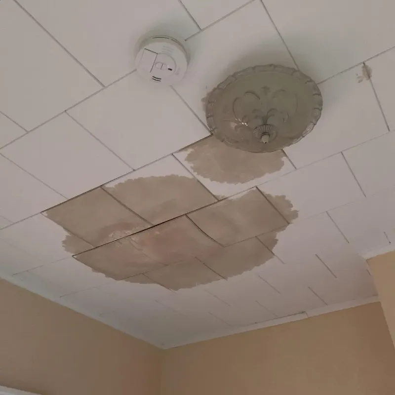 Ceiling Water Damage Repair in Langlade County, WI