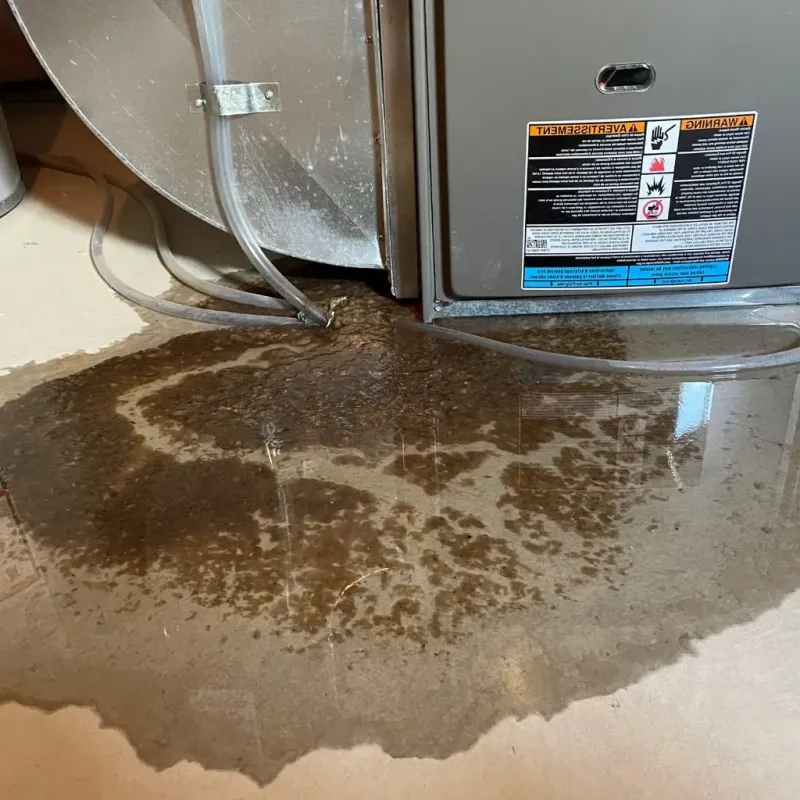Pipe Burst and Leak Restoration in Langlade County, WI