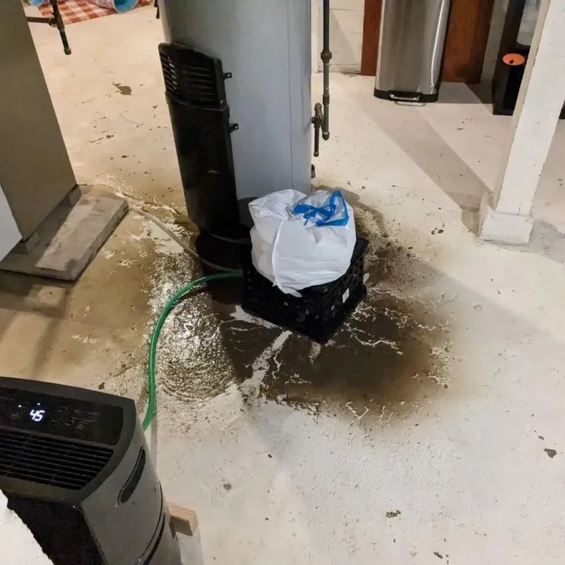 Sewage Backup Cleanup Service in Langlade County, WI